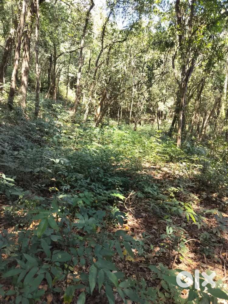 Land for sale