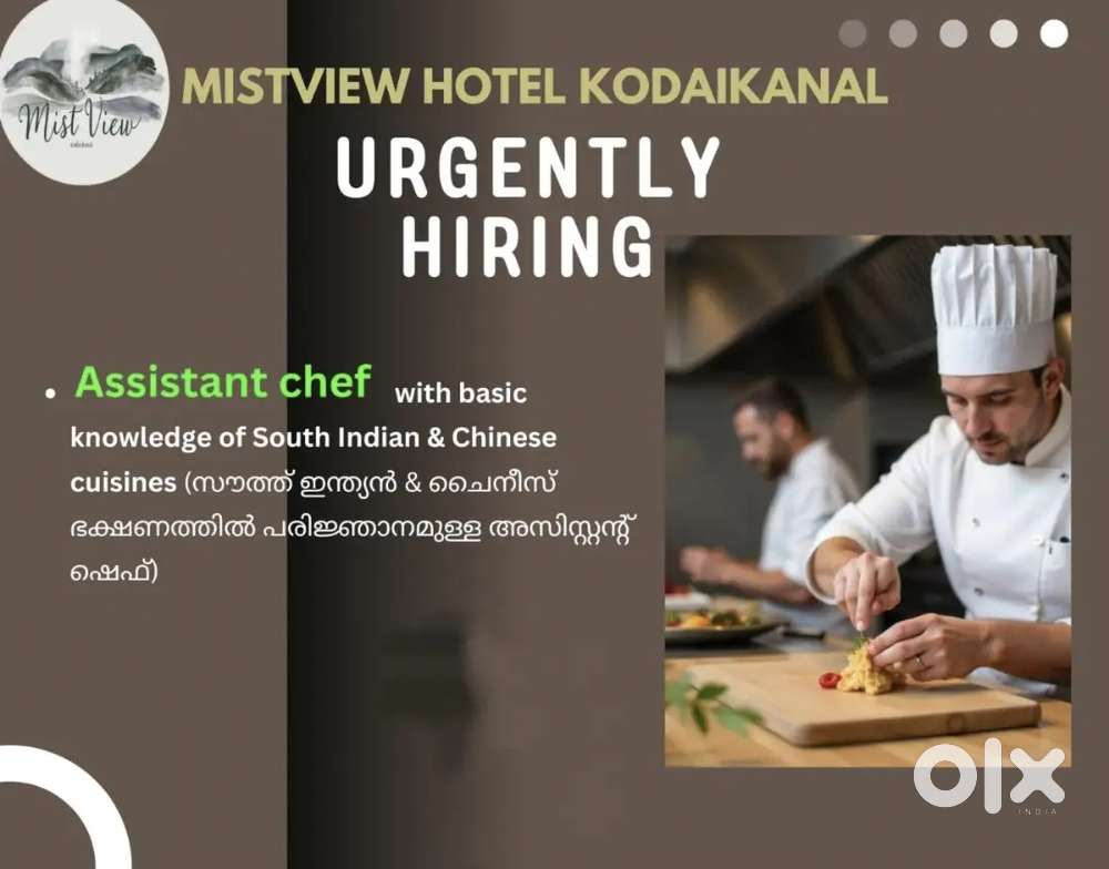 Urgently hiring assistant chef