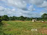10 cent house plot for sale in Para,Palakkad