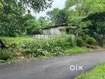 9+ cents house plot  for sale in Varantharapally Pallikunnu (Thrissur)