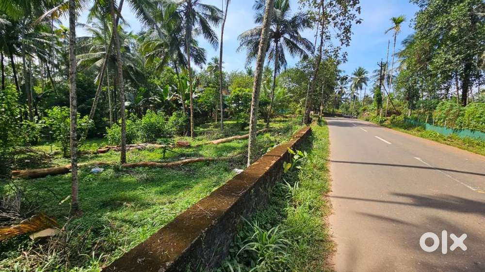 Property for Sale – Koodaranji, Near Mukkam State Highway