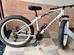 Jaguar Elandike fat tyre cycle 26