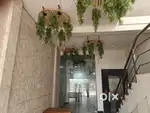 Newly setup restaurant in junwani road bhilai