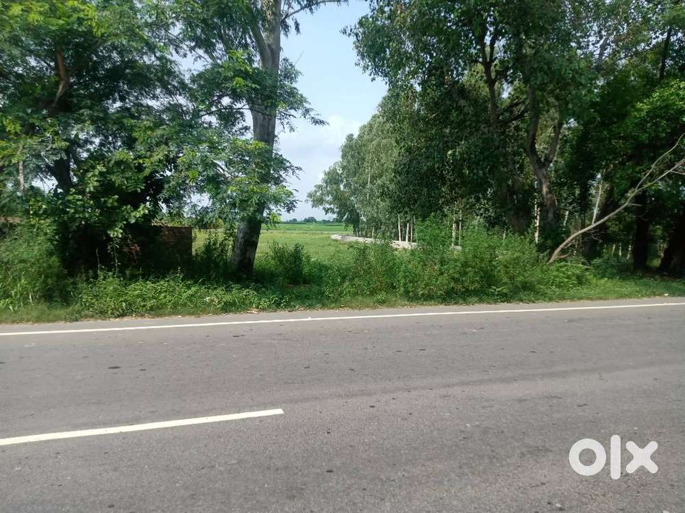 3 Canal On Chandigarh Road Farmhouse / Commercial Land