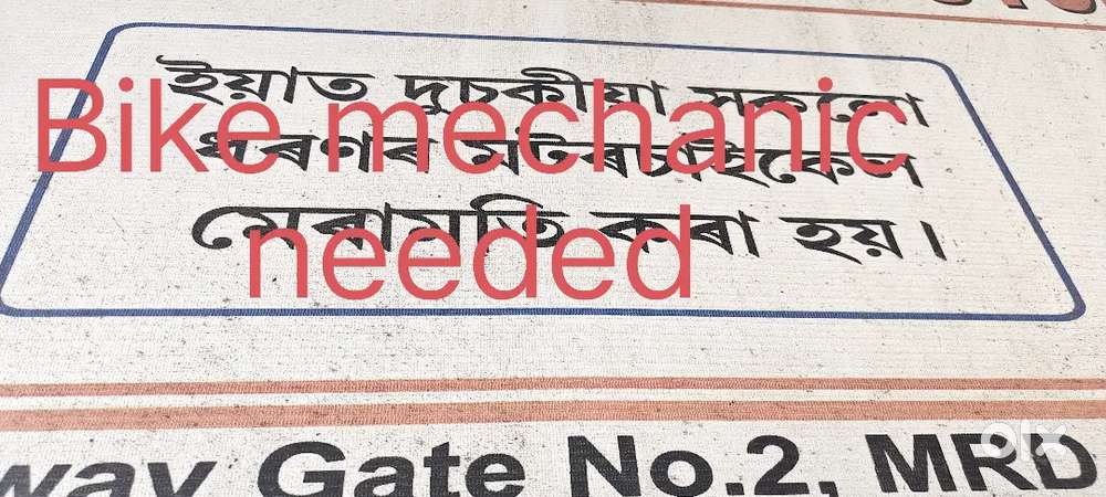 Bike mechanic needed