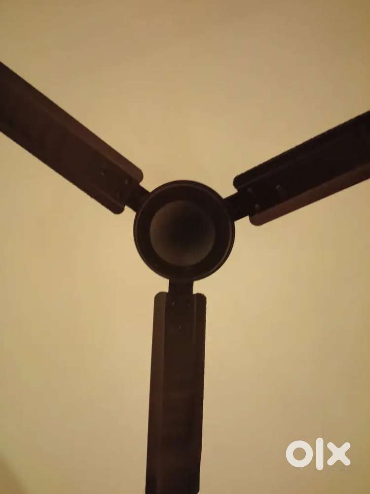 Ceiling fan sell