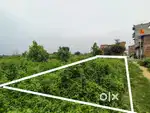 Plot property
