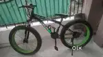 Fat bike 2-3 month old only