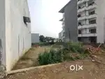 Plot for sale at a reasonable price