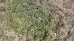 Orchard land for sale in Succurro