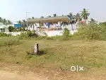 Plot for sale in pentapadu