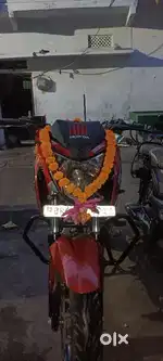 Honda  hornet