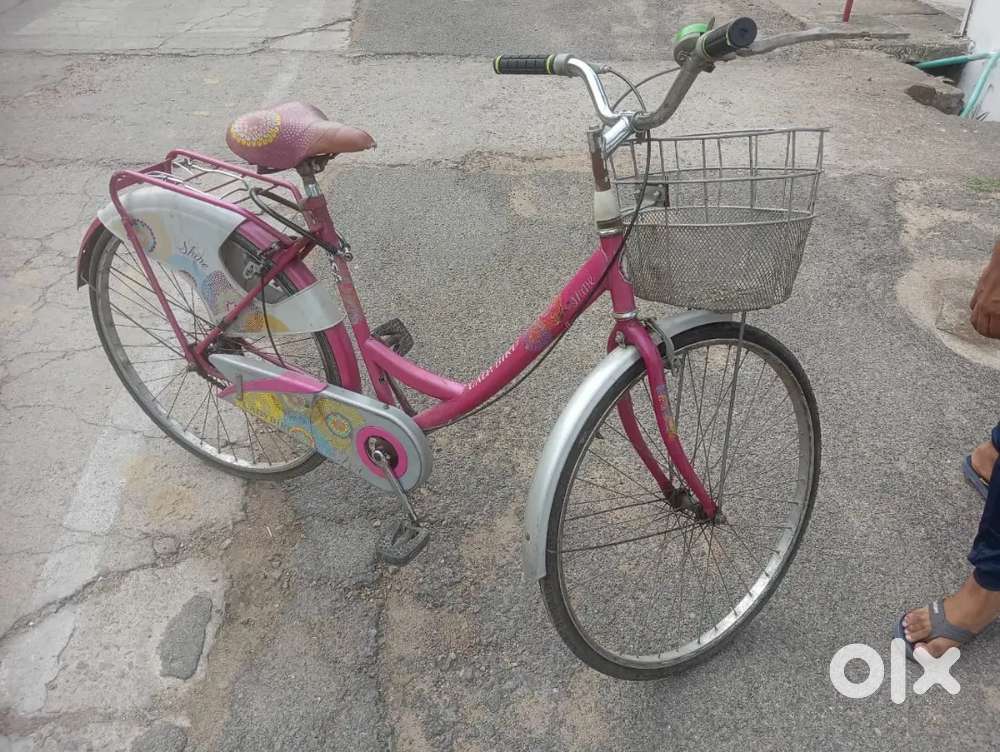 Ladybird cycle
