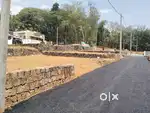 Thripunithura Thiruvankulam vennikulam plot for sale