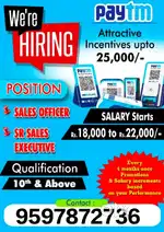 Paytm pvt company