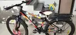 Raleigh cycle top best model