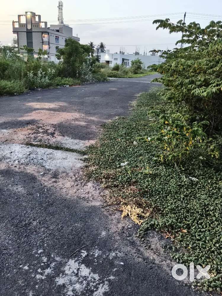 Thenpathi near Balaji theatre plot for sale