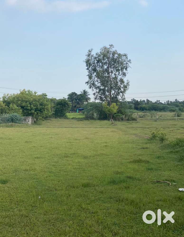 Premium & Peaceful Plot for Sale! 694sq.ft