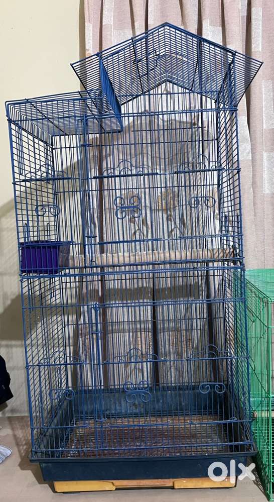 Bird cage for sale