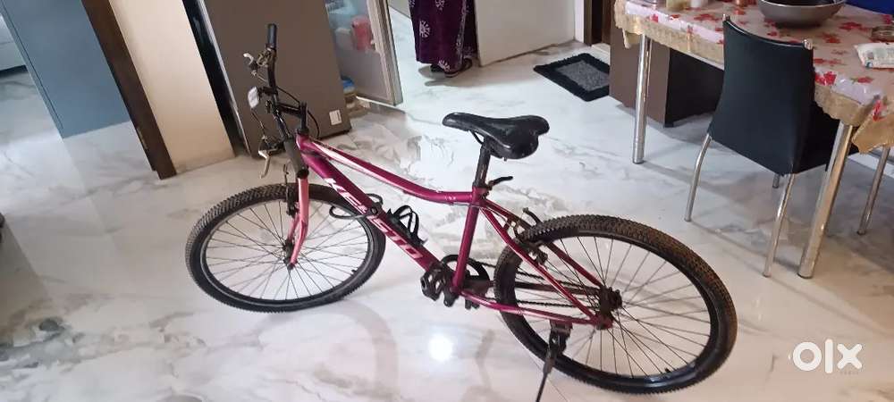 Bicycle  For  Height Gain