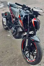 Duke 390 2017