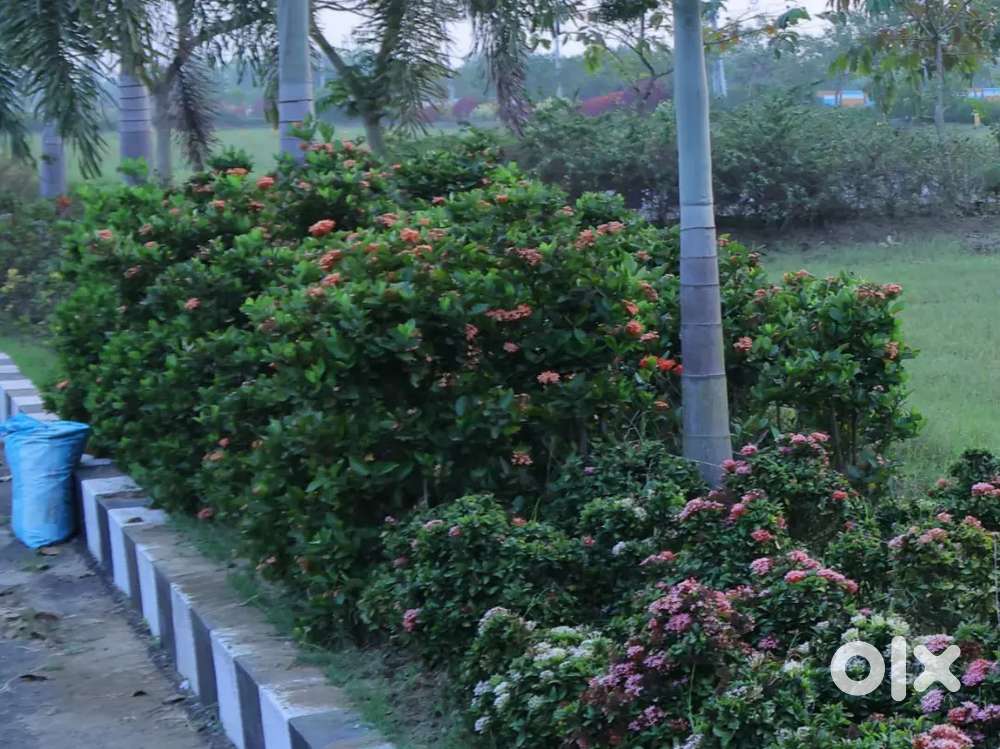 VMRDA LAND FOR SALE.