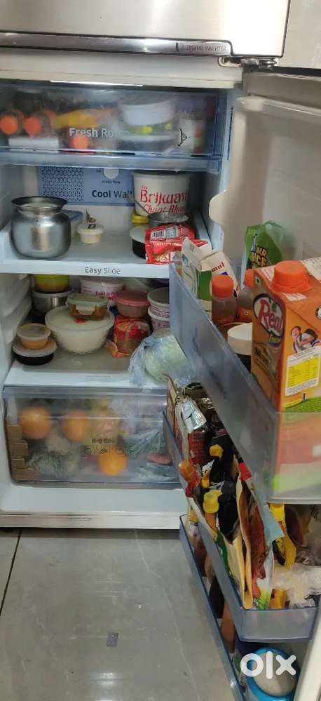 2 door refrigerator 250 ltr