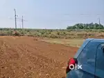 Lowest price plot