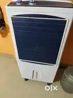 6 month old Cooler