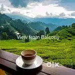 Manathavady : 3 Acre Tea estate for sale