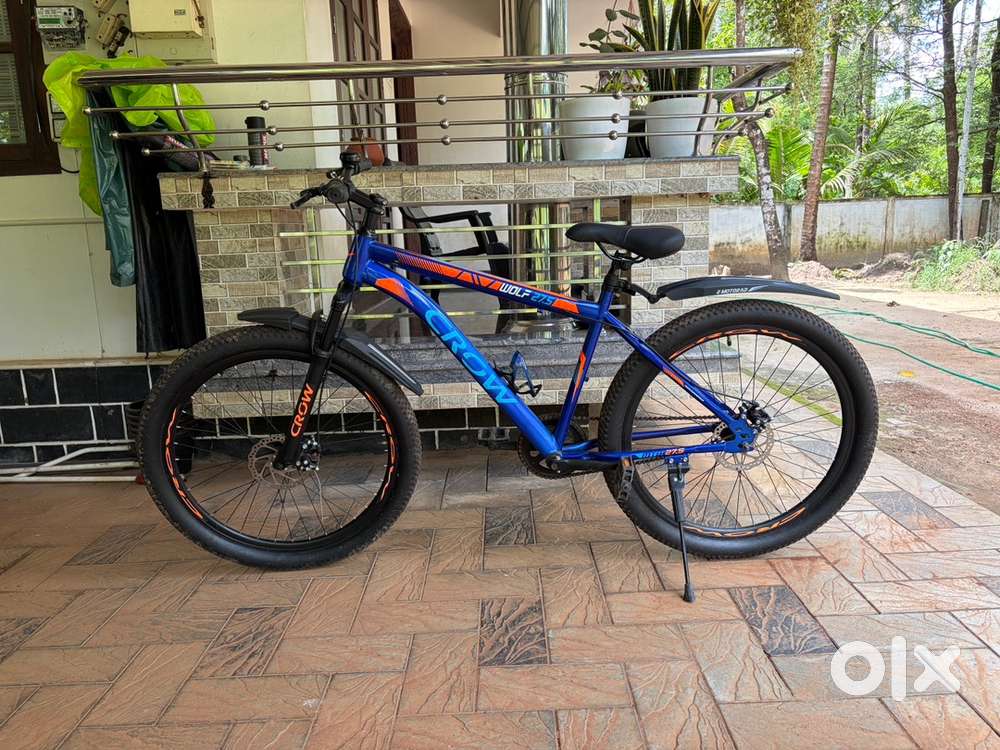 Crow wolf single speed (5 month used)