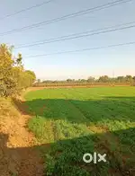 5 aekar land For sale in Vadali