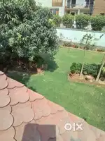 Prime Semi Commercial Land in Posh Locality Ludhiana