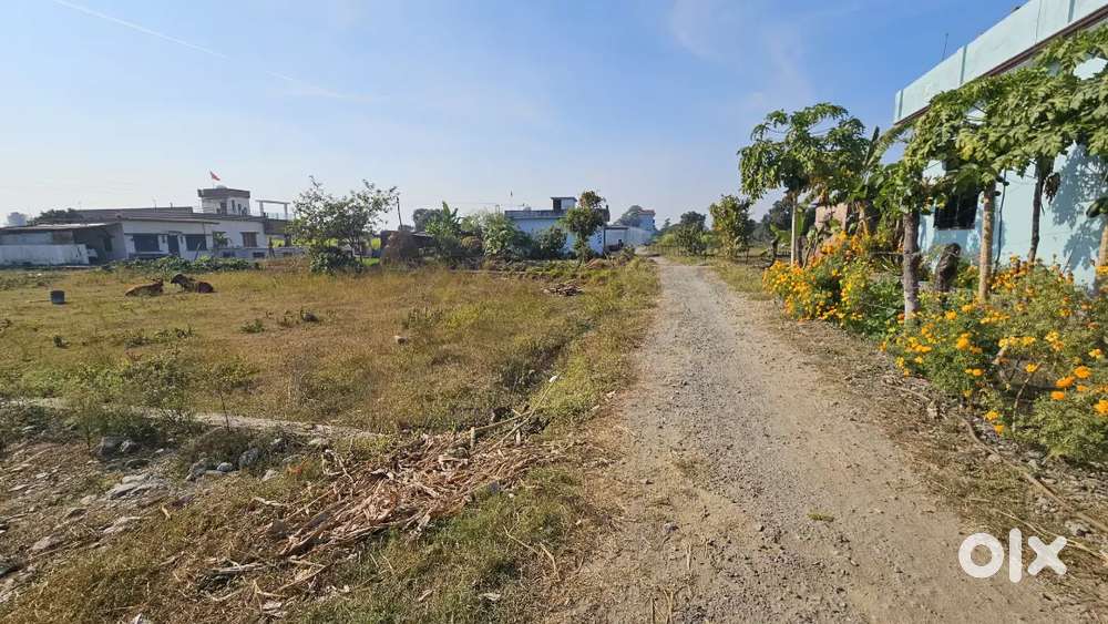 मीडियम साइज प्लॉट उपलब्ध है हल्द्वानी से 10 min.की दूरी में रोड के पास
