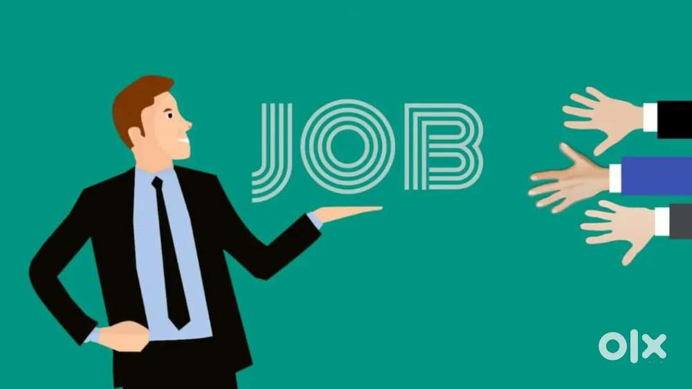 Urgently needed freshers candidate