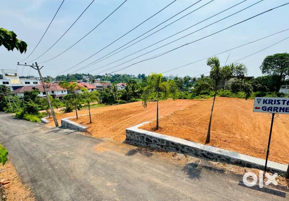 8.20 Cents Residential Plot for Sale – Prime Location at Kakkanad