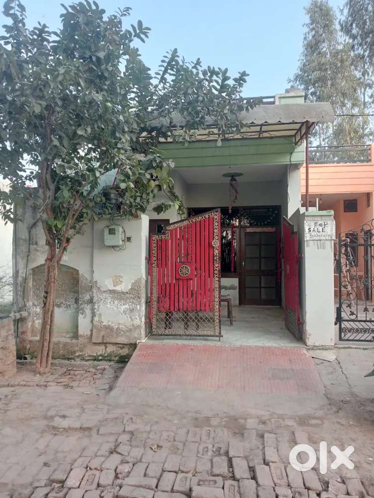 Ram ghar Majra chand mori road babiyal Ambala cantt no.