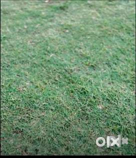 Land/plot available for sell to build home/building/commercial purpose