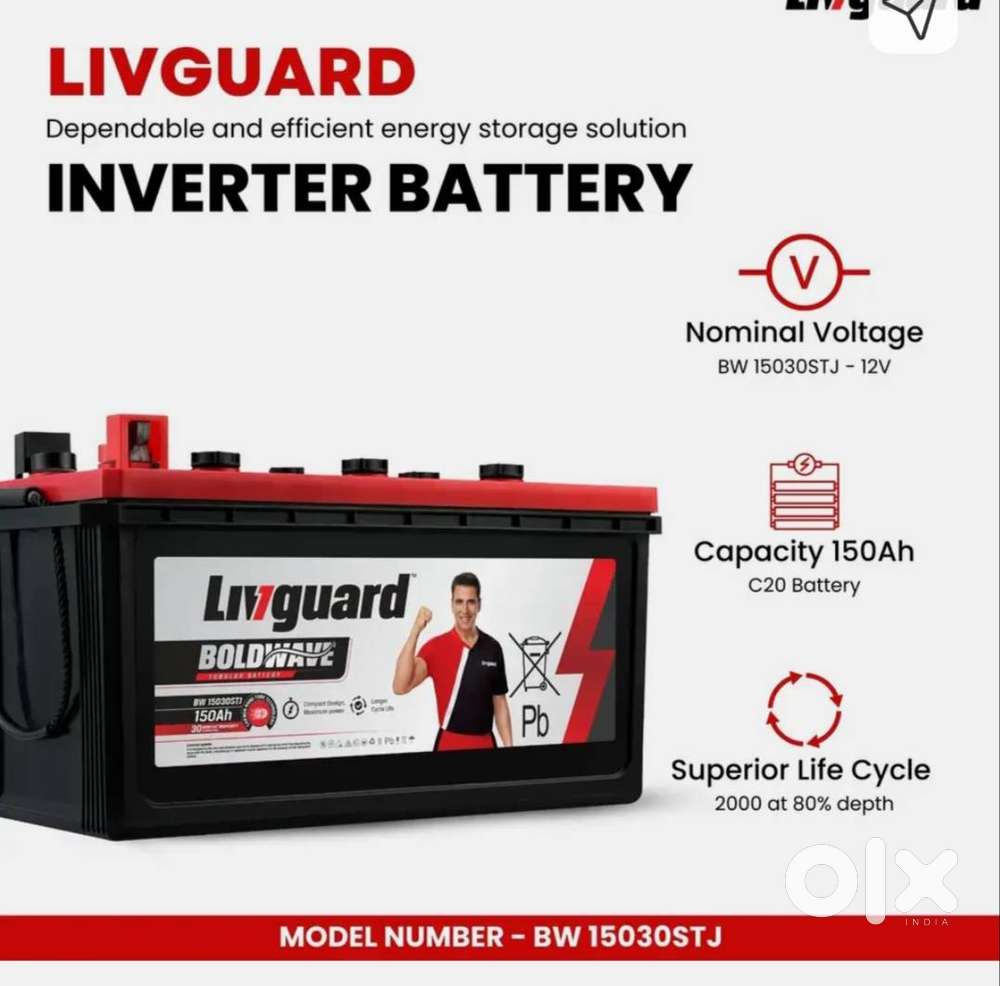 Inverter battery