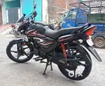 Model 2020/11