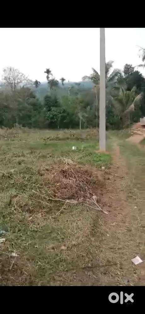 15 cent land for sale in c c.sulthan bathery _mananthavady road side
