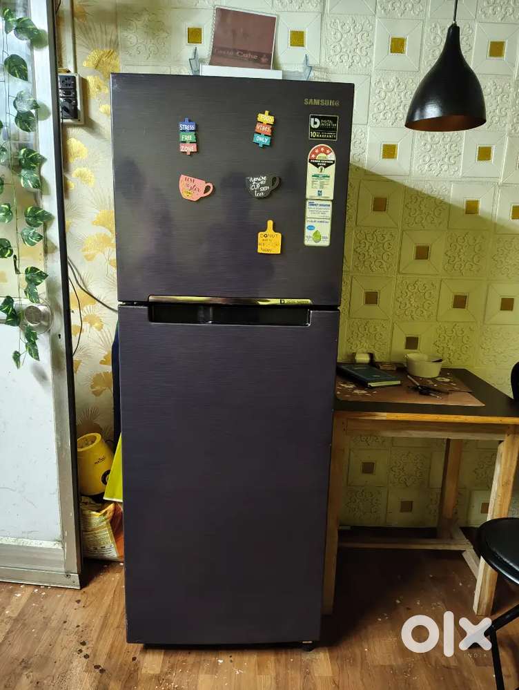 Samsung Double Door Fridge – 253 Ltr (2018 Model)