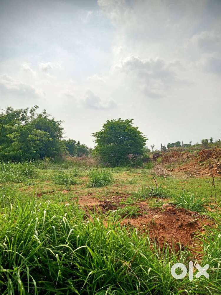 House plots for sale near Para, Palakkad