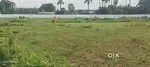 BHOGAPURAM.. VMRDA& RERA APPROVAL OPEN PLOT SALE