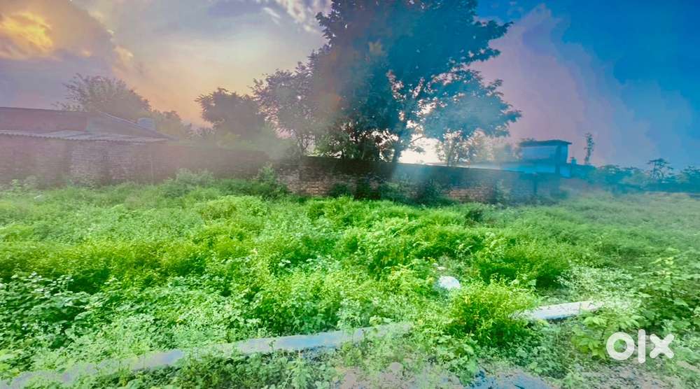 Plot for sale