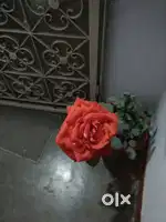 2BHK Apartment