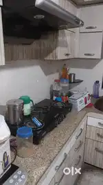 Job Lady  Household work