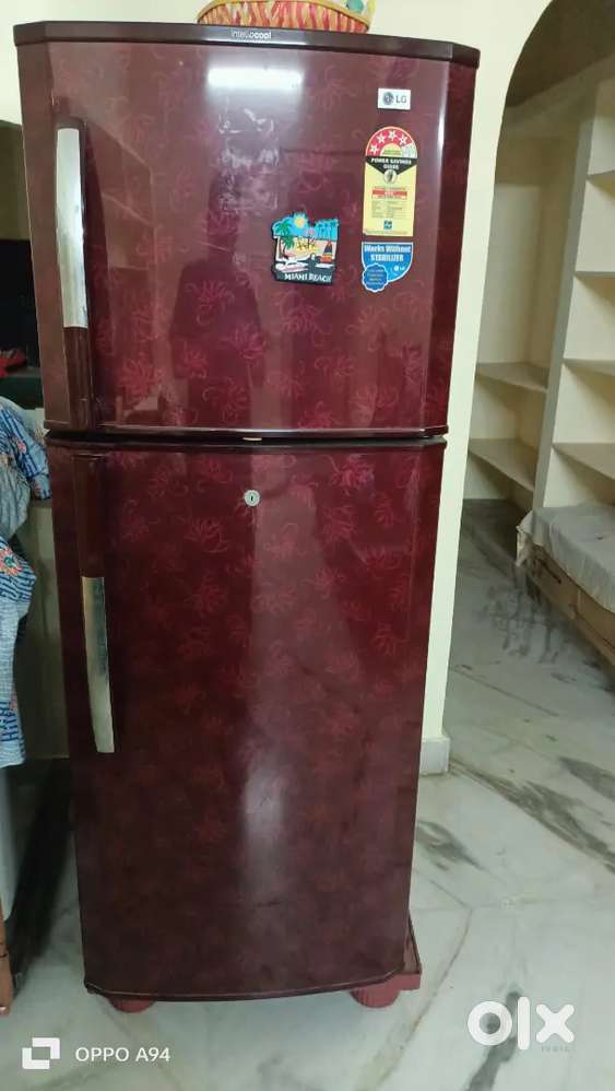 Fredge lg four star
