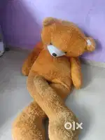 Teddy bear 7 feet in height