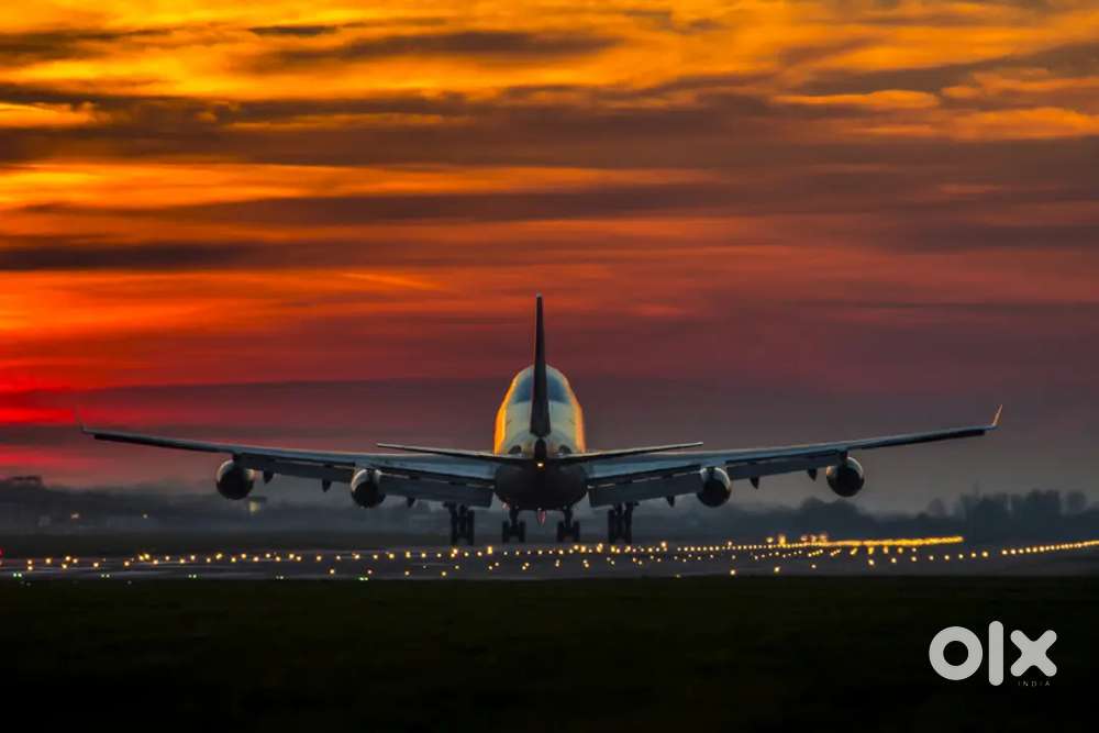 Accountant job in Cargo Warehouse On IGI Airport for Experienced